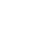 Zontes